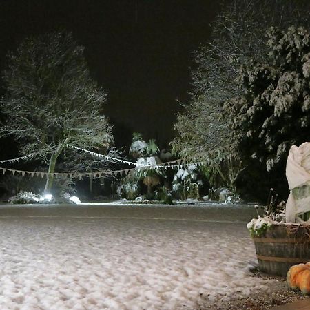 Da Gastone Villa Rivignano Екстериор снимка