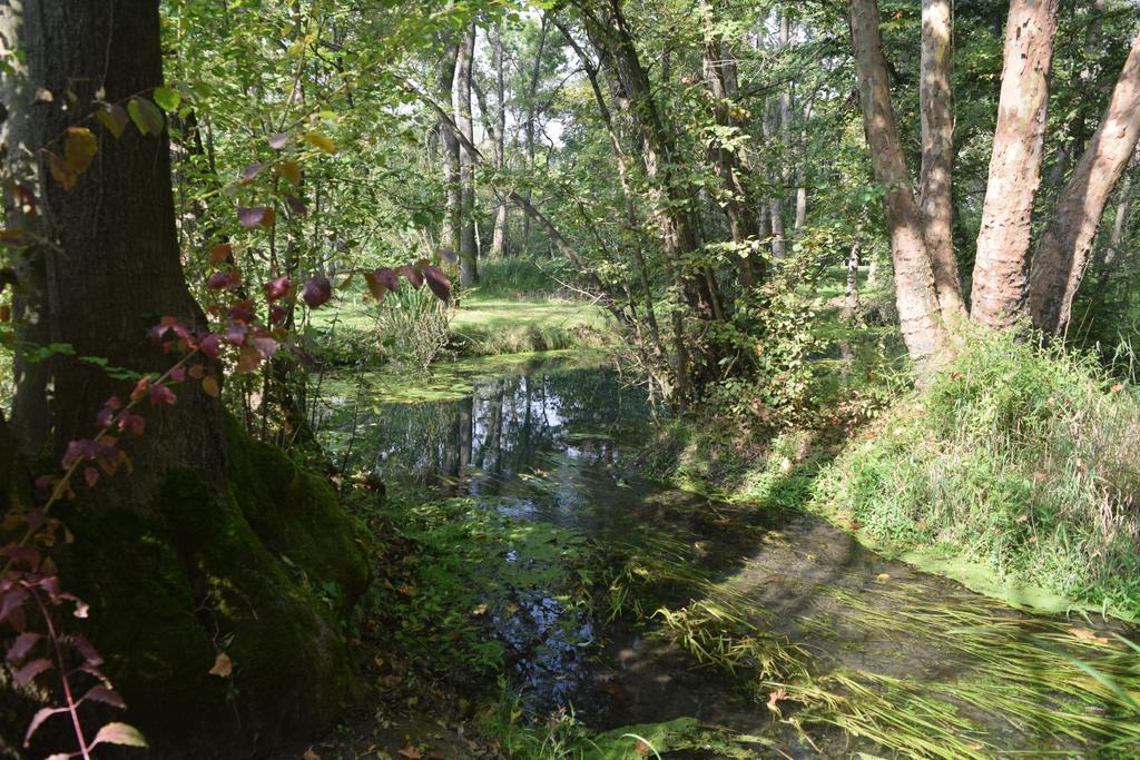 Da Gastone Villa Rivignano Екстериор снимка